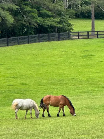 a view of a hallway with seating area