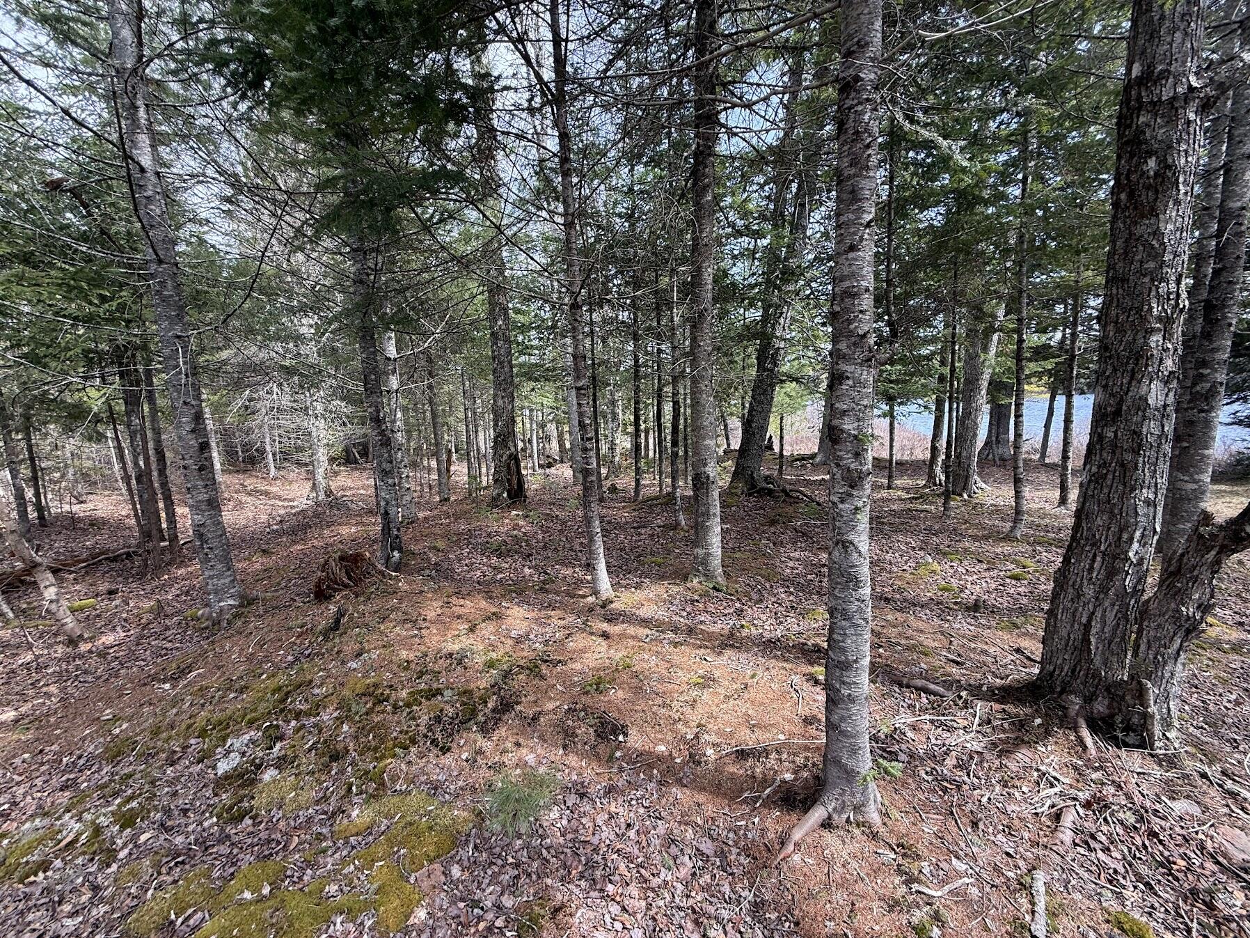8-9 Western Stream Road Robbinston, ME 04671 - Photo 7 of 45 Western RD 3