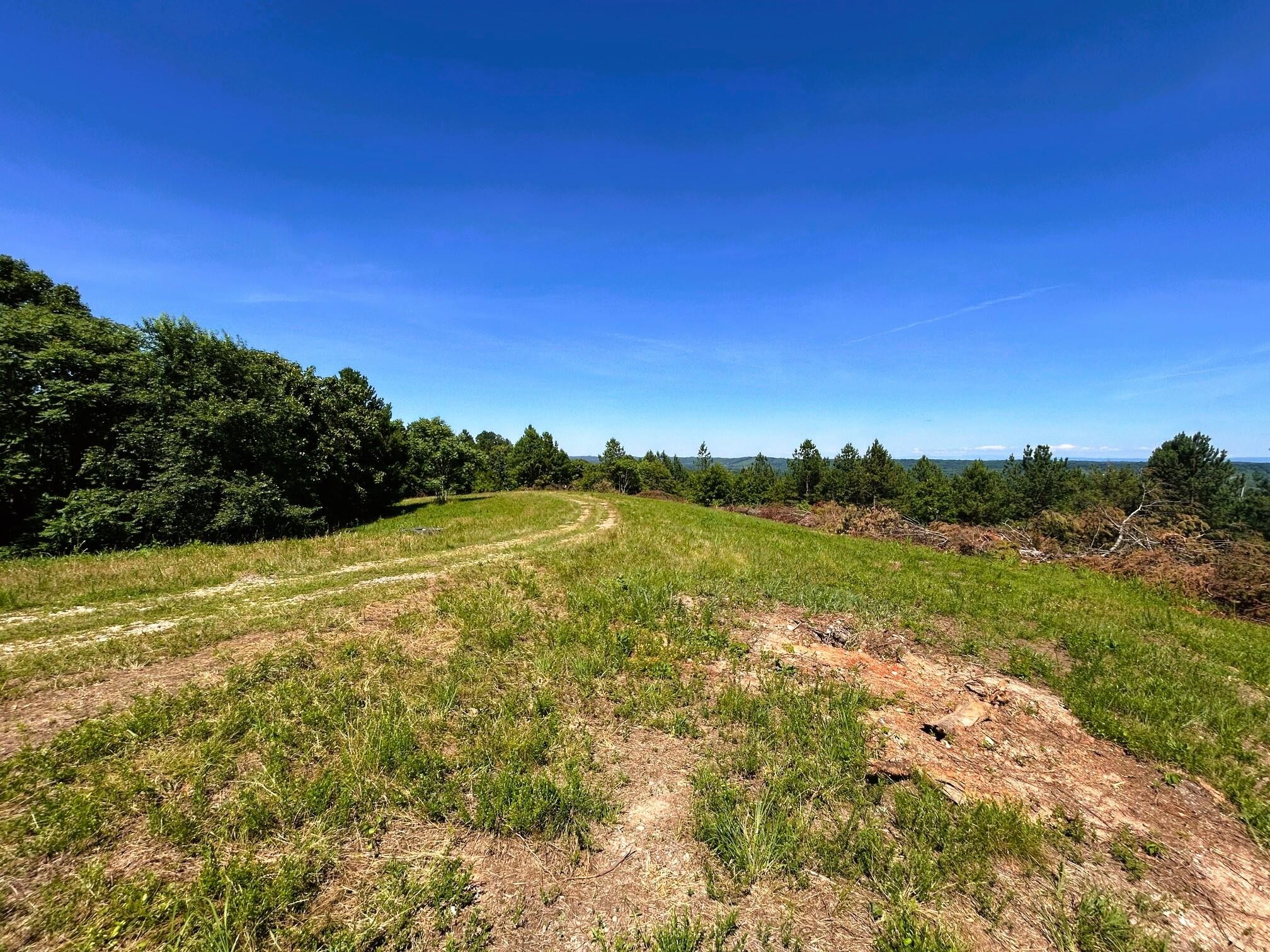 153 Charles Road Decatur, TN 37322 - Photo 4 of 6
