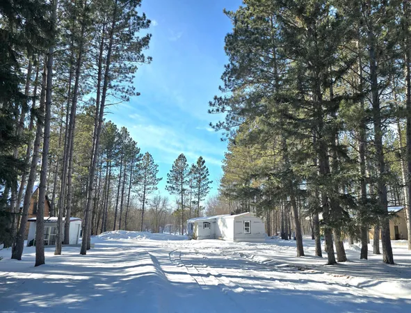$93,800 | 3193 Town Road 397, International Falls, MN 56649