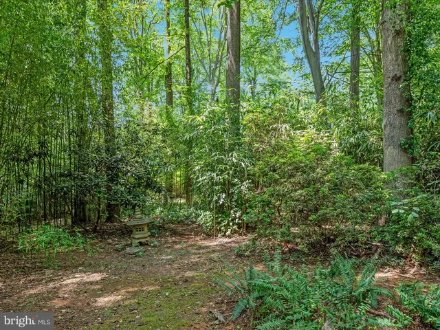 $1,295,000 | 13209 Johnny Moore Lane, Clifton, VA 20124