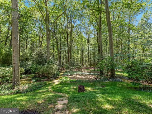 $1,295,000 | 13209 Johnny Moore Lane, Clifton, VA 20124