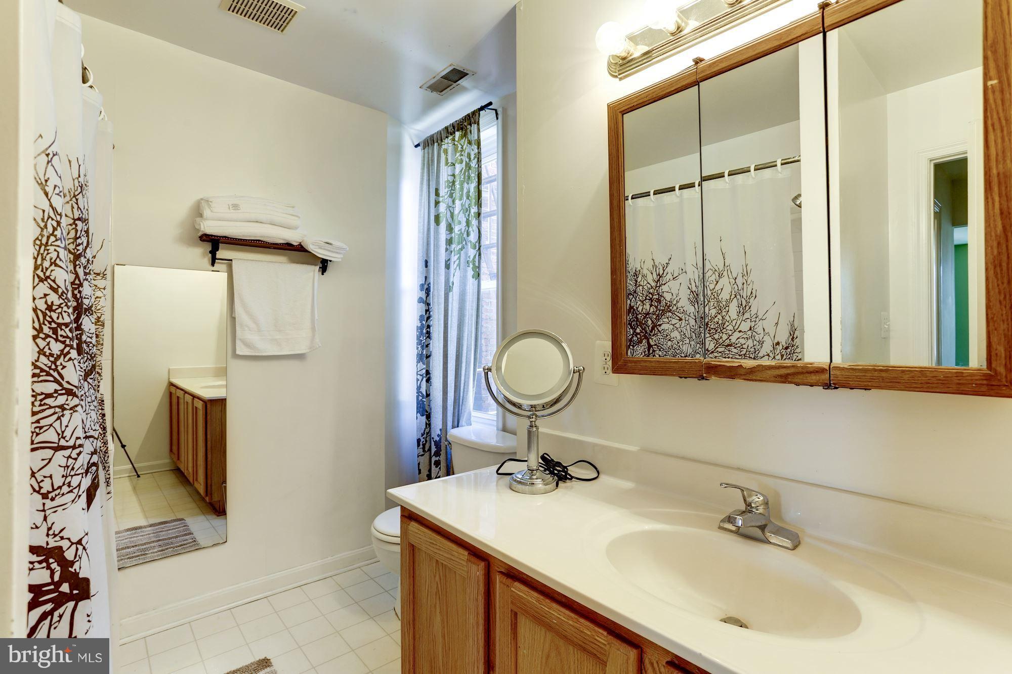 3014 13th Street Northwest Washington, DC 20009 - Photo 25 of 30 Bath