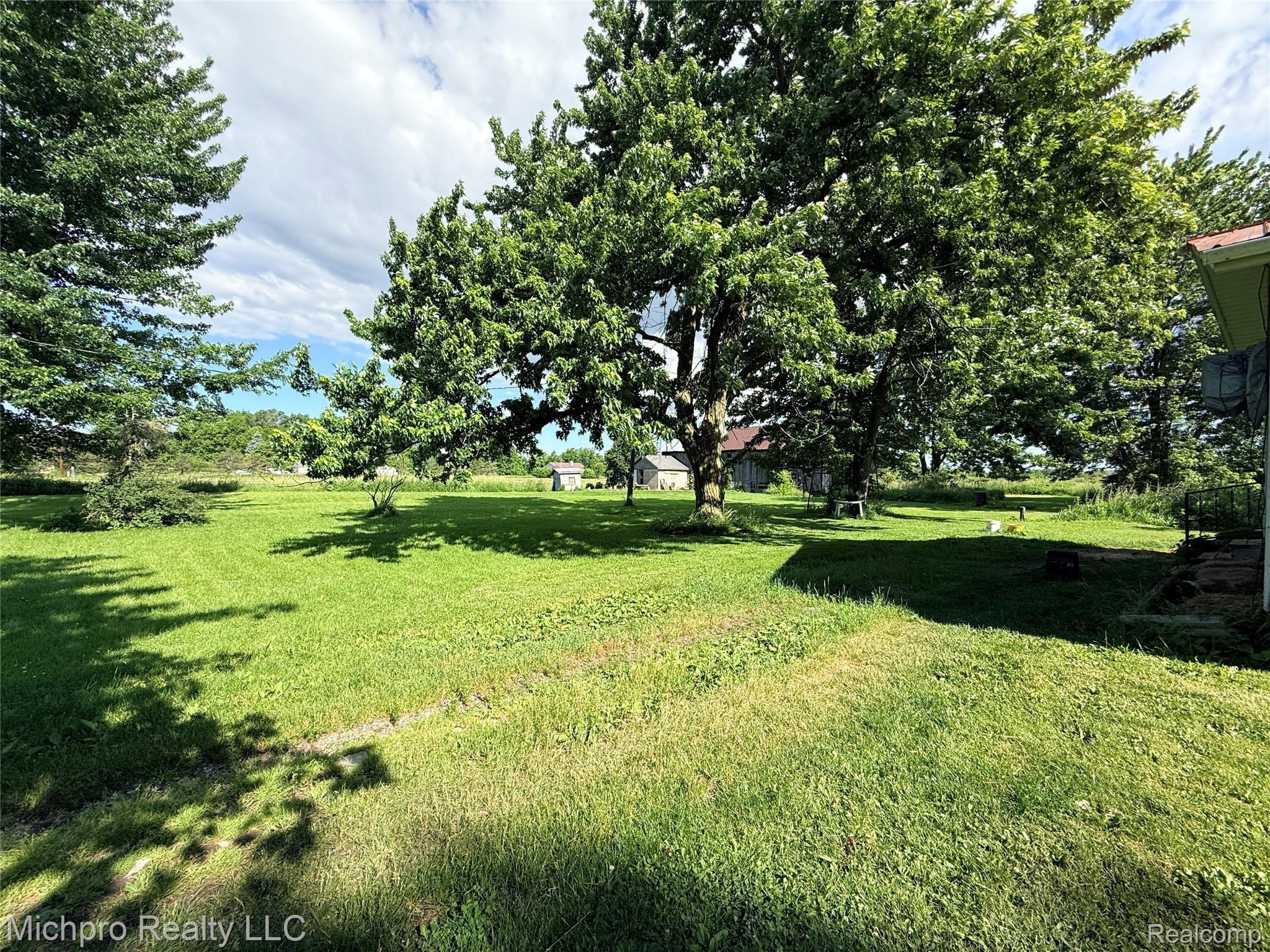 11438 Hill Road Memphis, MI 48041 - Photo 14 of 15 Expansive grassy area with mature deciduous and coniferous trees providing natural shade
