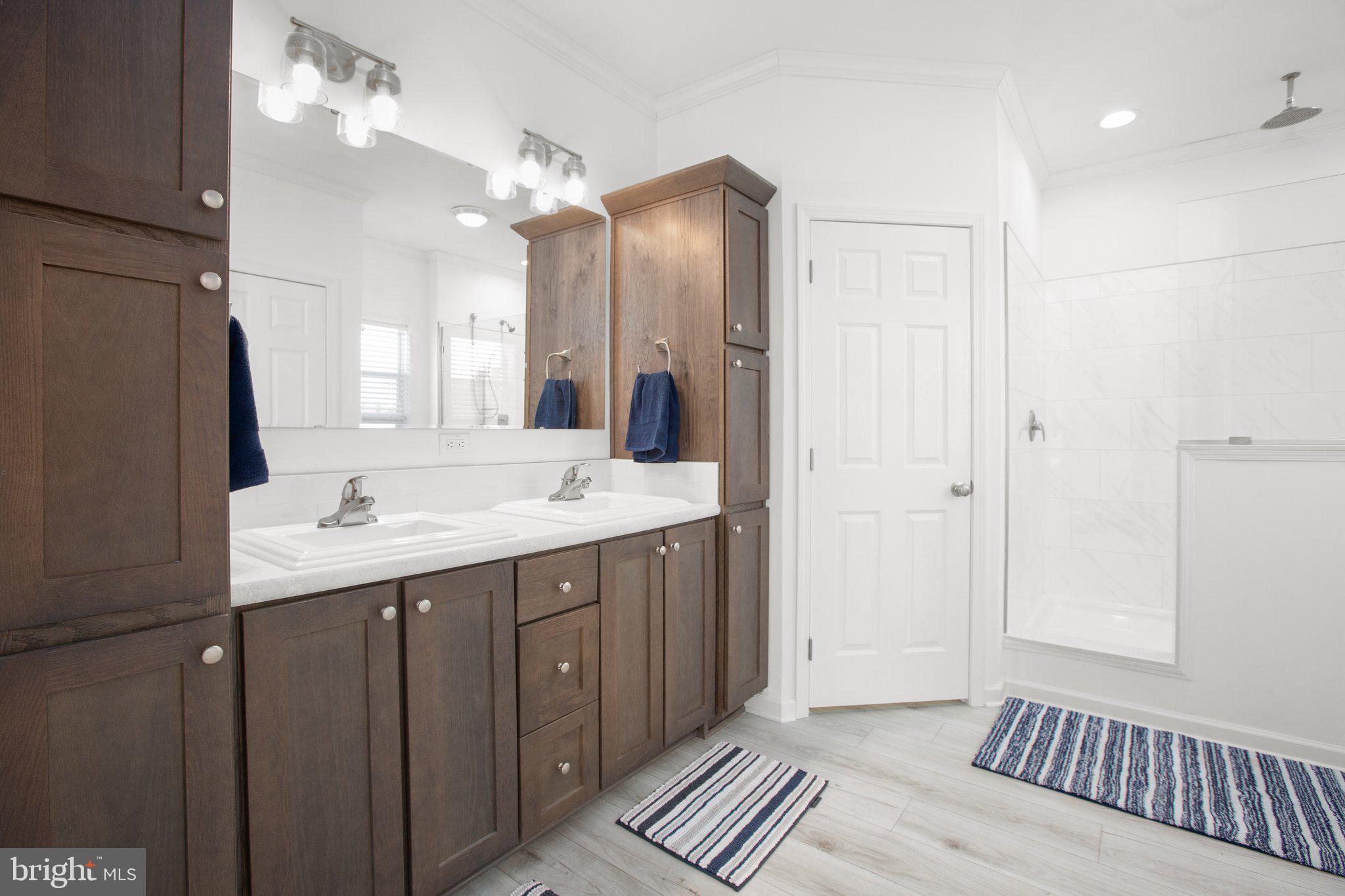 1005 Levi Road Green Bay, VA 23942 - Photo 31 of 34 a bathroom with a sink a mirror and a shower