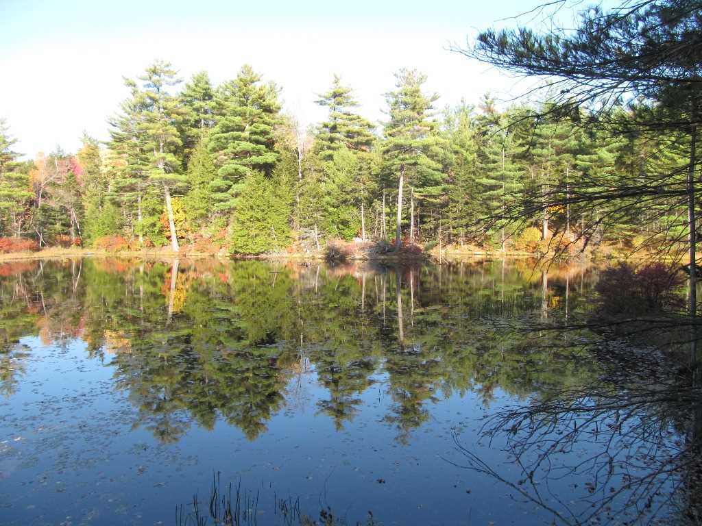 Pappas Road Claremont, NH 03743 - Photo 1 of 11 Gallery Image 1