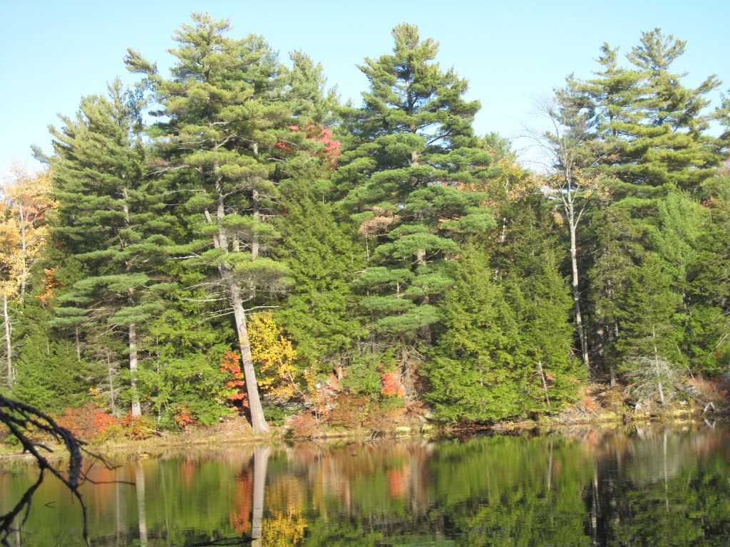 Pappas Road Claremont, NH 03743 - Photo 2 of 11 Gallery Image 2