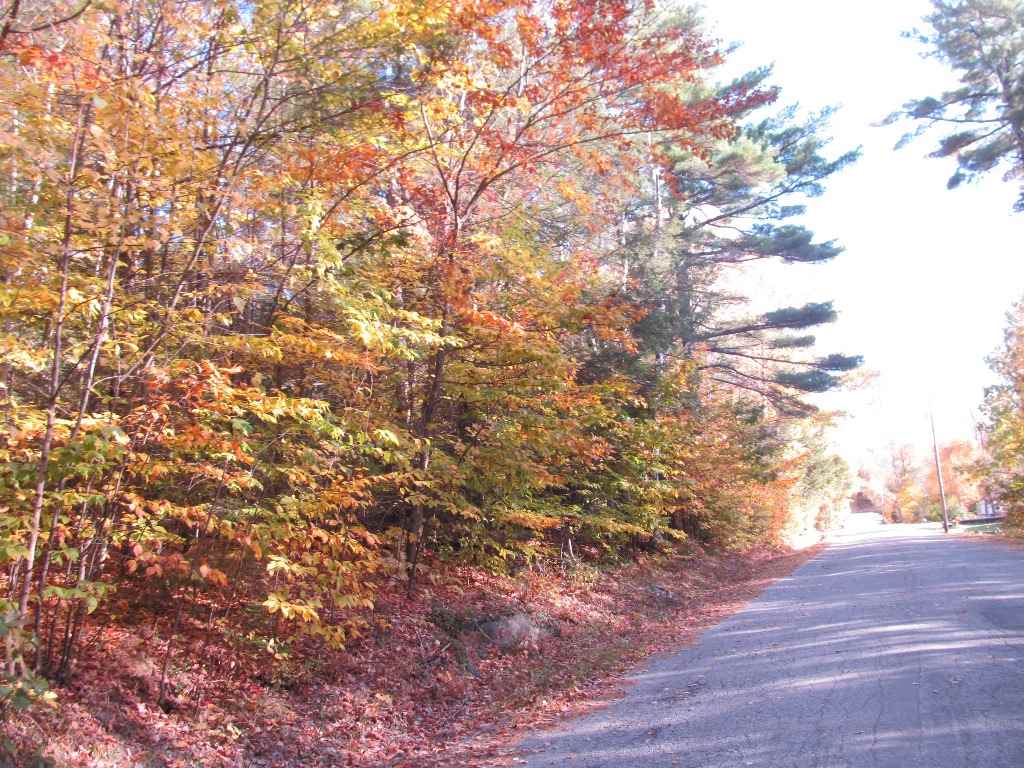 Pappas Road Claremont, NH 03743 - Photo 11 of 11 Gallery Image 11