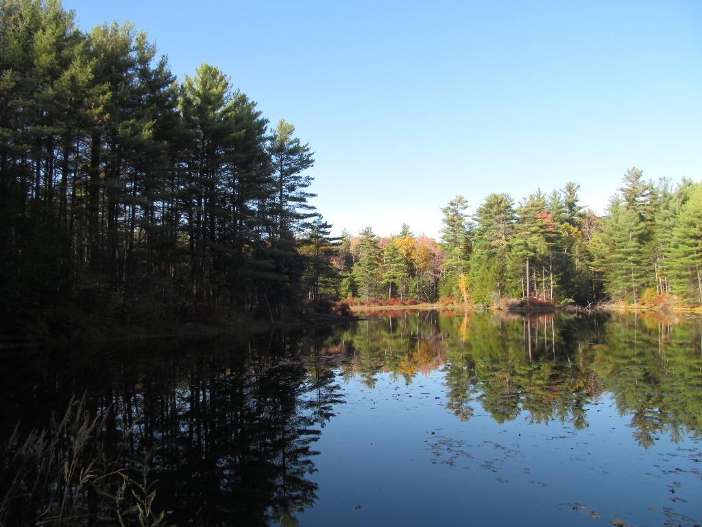 Pappas Road Claremont, NH 03743 - Photo 3 of 11 Gallery Image 3