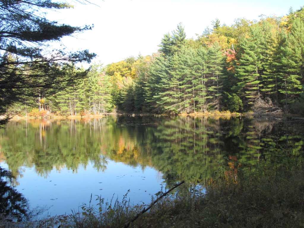 Pappas Road Claremont, NH 03743 - Photo 4 of 11 Gallery Image 4