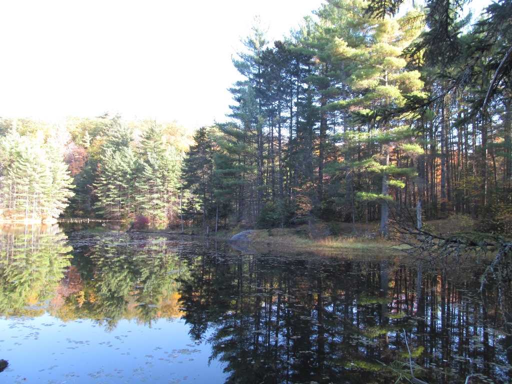 Pappas Road Claremont, NH 03743 - Photo 6 of 11 Gallery Image 6