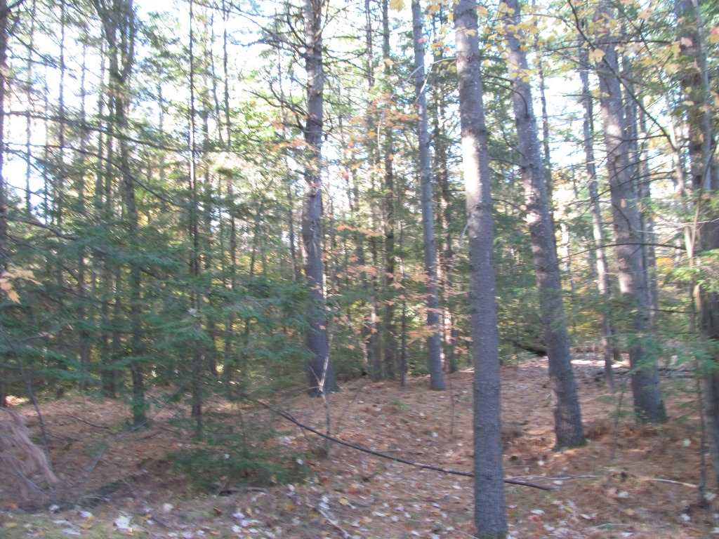 Pappas Road Claremont, NH 03743 - Photo 8 of 11 Gallery Image 8