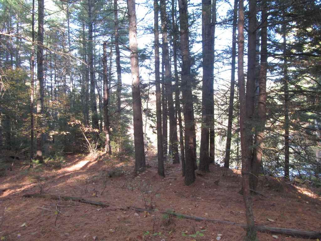 Pappas Road Claremont, NH 03743 - Photo 10 of 11 Gallery Image 10