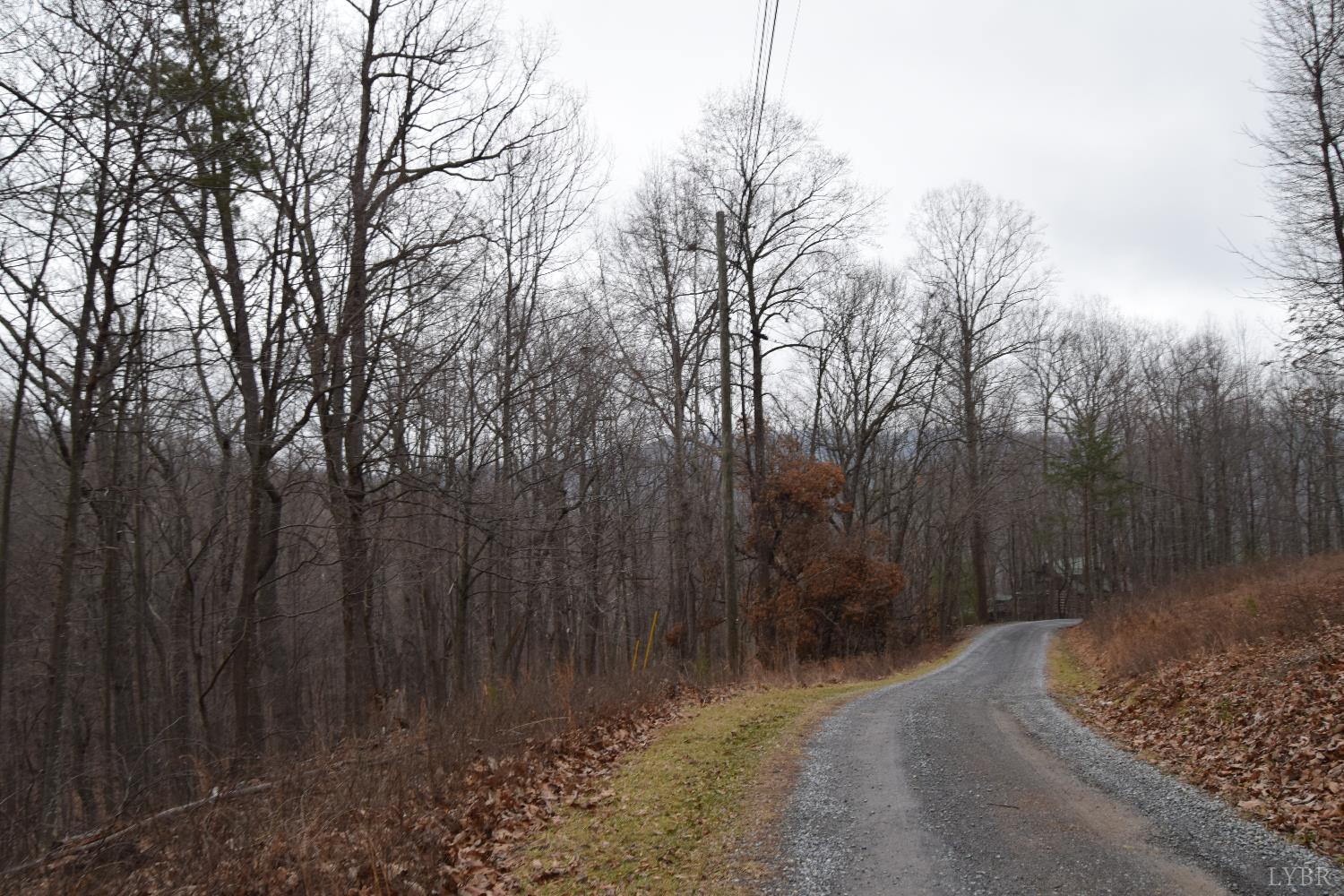 0 Hickory Falls Road Blue Ridge, VA 24064 - Photo 11 of 38