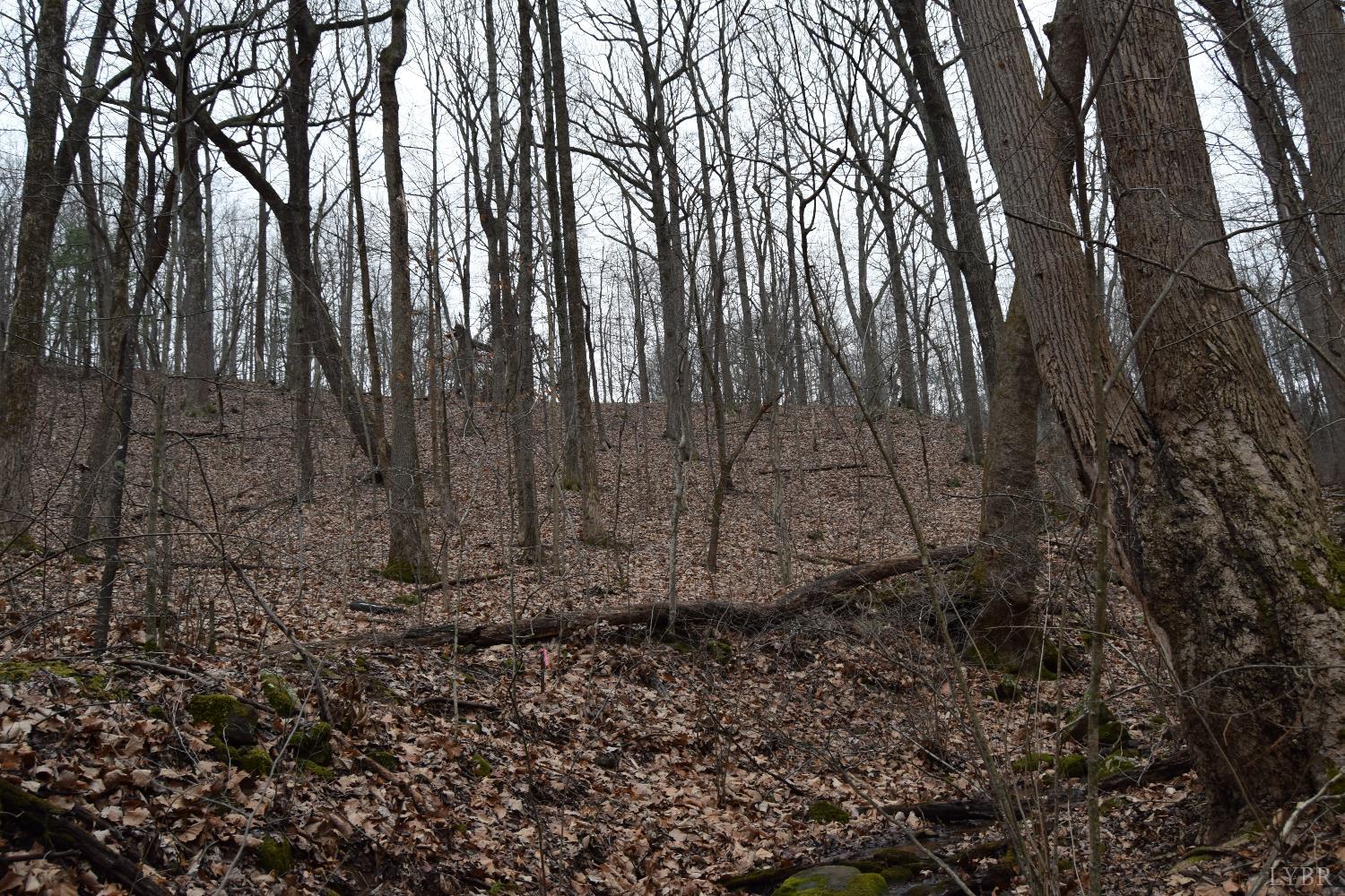 0 Hickory Falls Road Blue Ridge, VA 24064 - Photo 12 of 38