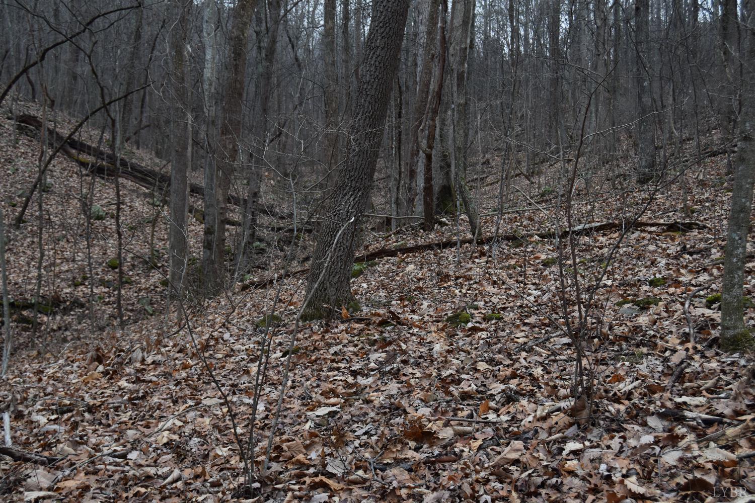 0 Hickory Falls Road Blue Ridge, VA 24064 - Photo 13 of 38