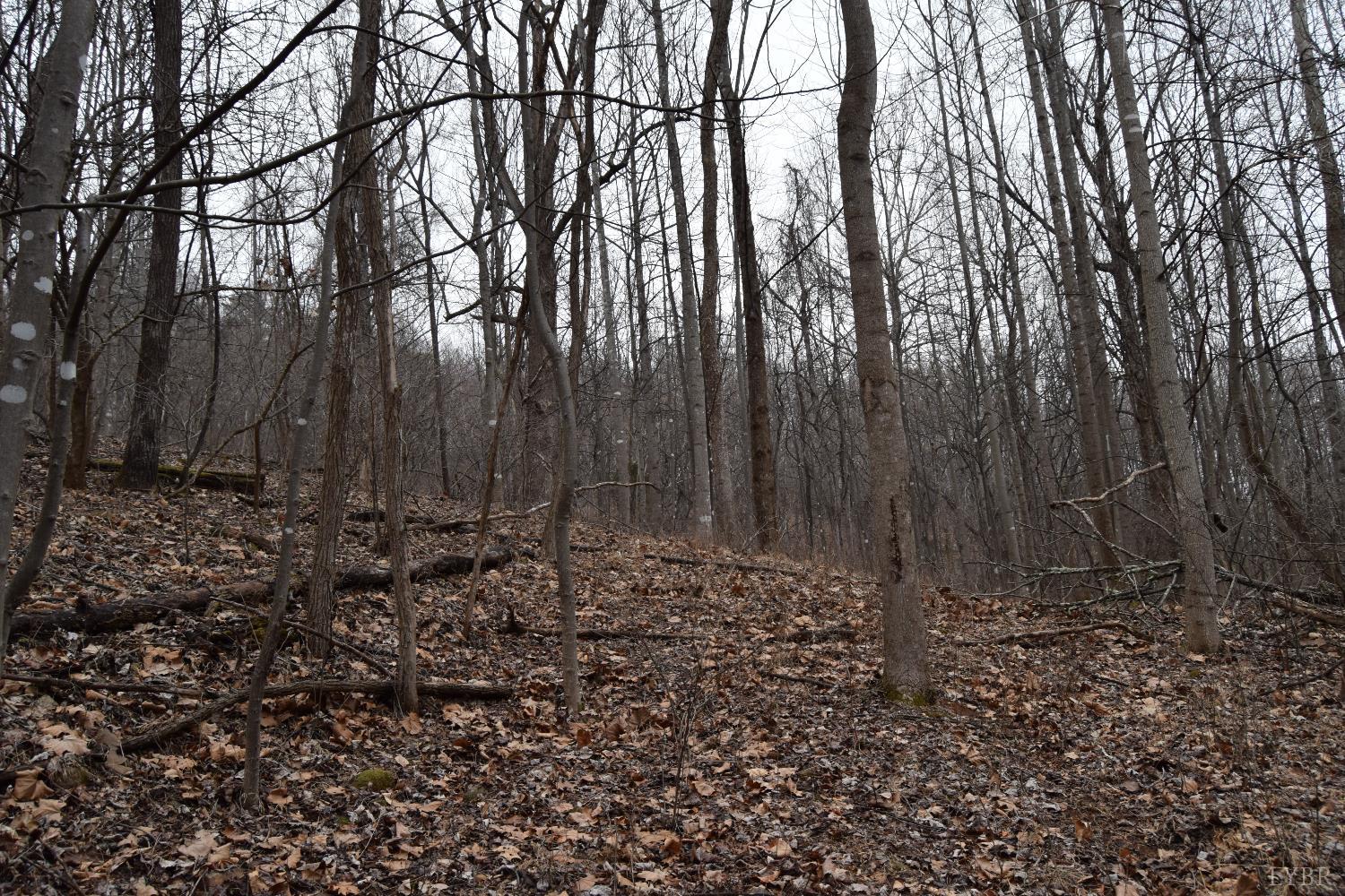 0 Hickory Falls Road Blue Ridge, VA 24064 - Photo 14 of 38