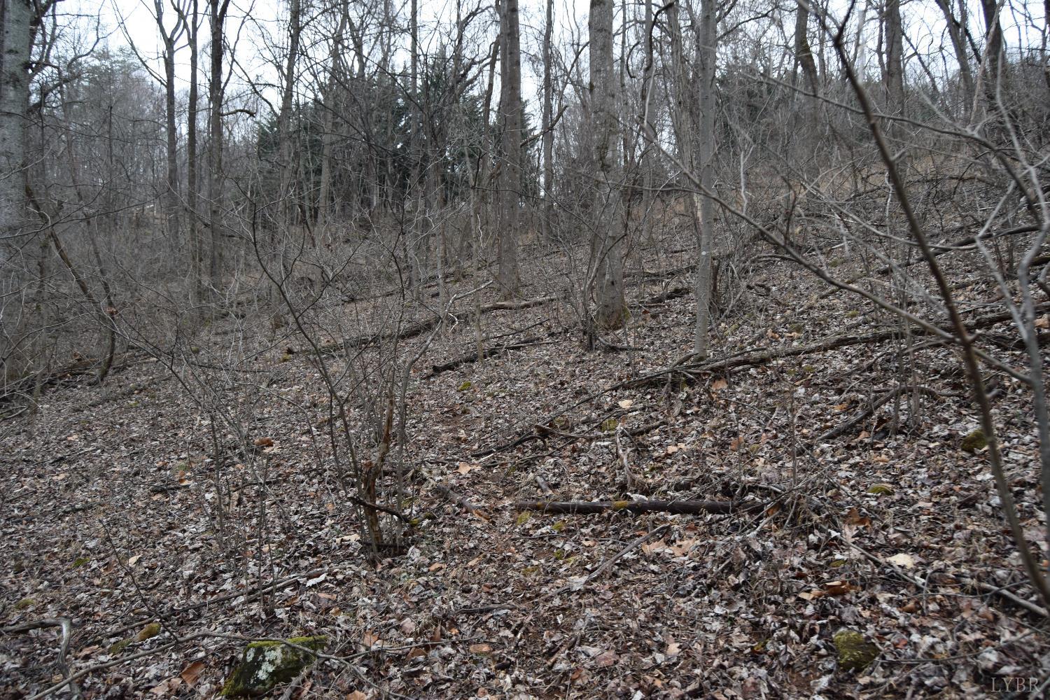 0 Hickory Falls Road Blue Ridge, VA 24064 - Photo 15 of 38