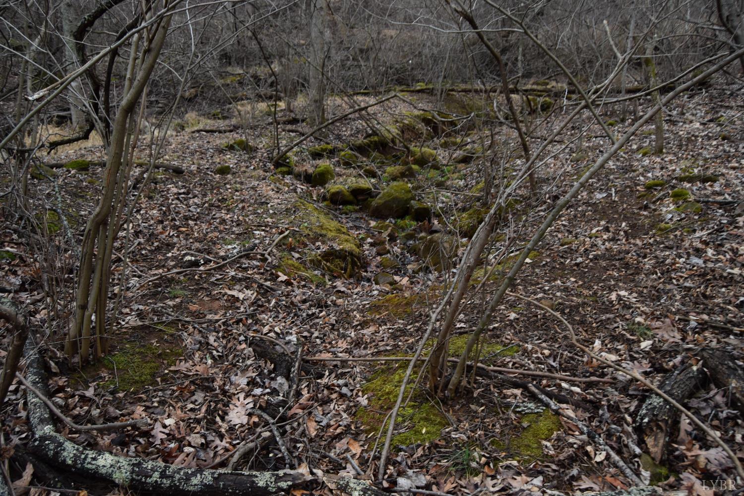 0 Hickory Falls Road Blue Ridge, VA 24064 - Photo 16 of 38