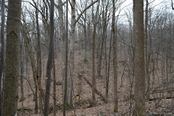$124,900 | 0 Hickory Falls Road, Blue Ridge, VA 24064
