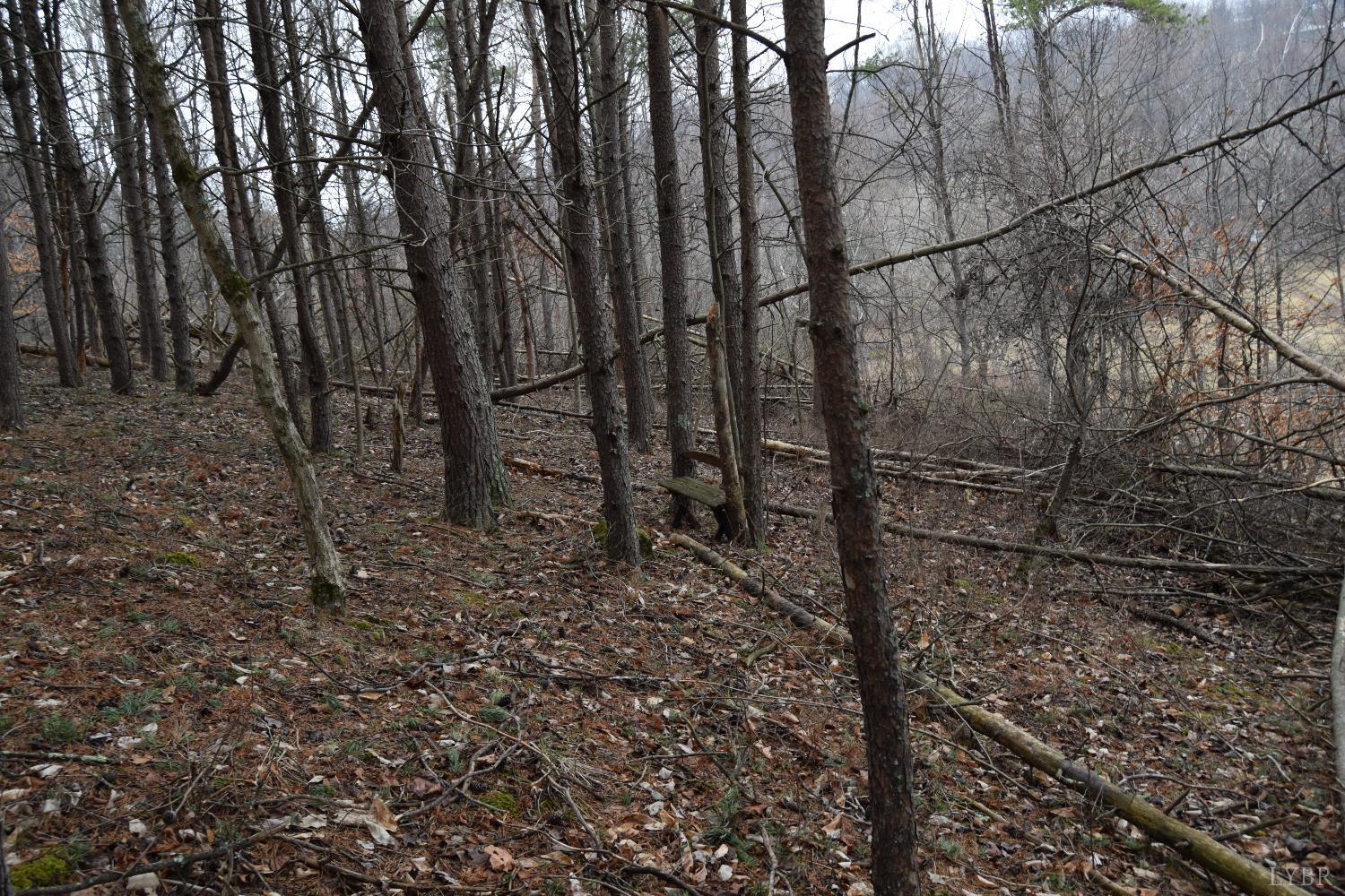 0 Hickory Falls Road Blue Ridge, VA 24064 - Photo 17 of 38