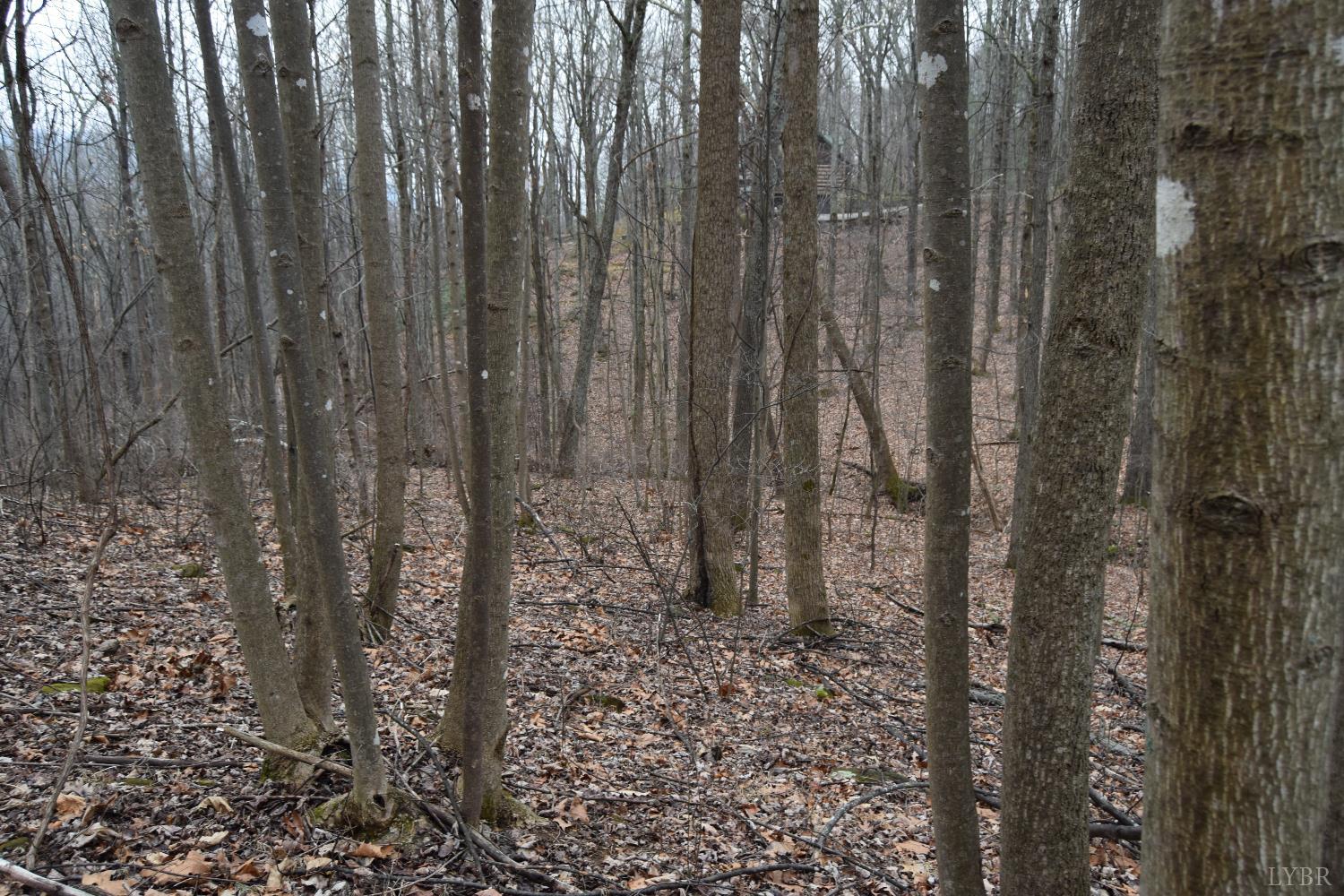 0 Hickory Falls Road Blue Ridge, VA 24064 - Photo 20 of 38