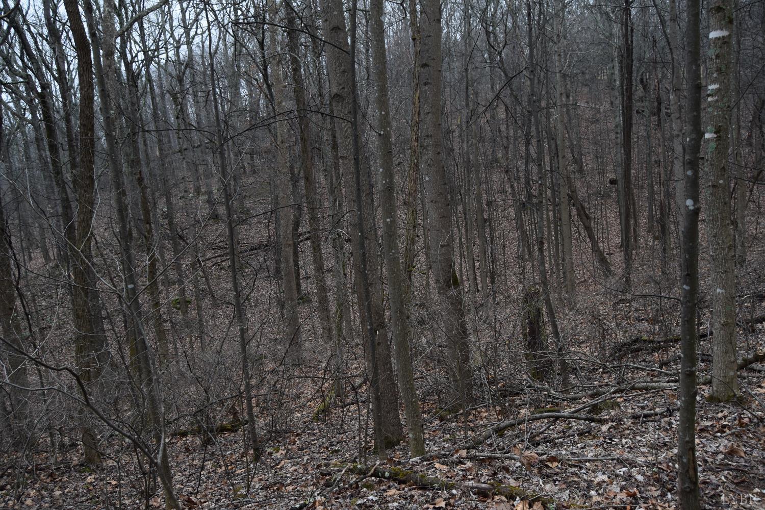 0 Hickory Falls Road Blue Ridge, VA 24064 - Photo 21 of 38