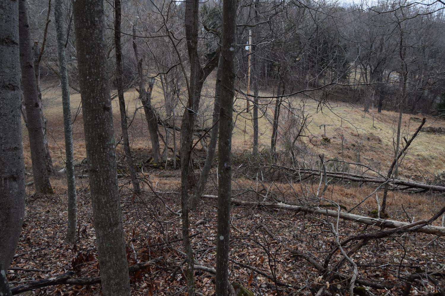 0 Hickory Falls Road Blue Ridge, VA 24064 - Photo 22 of 38