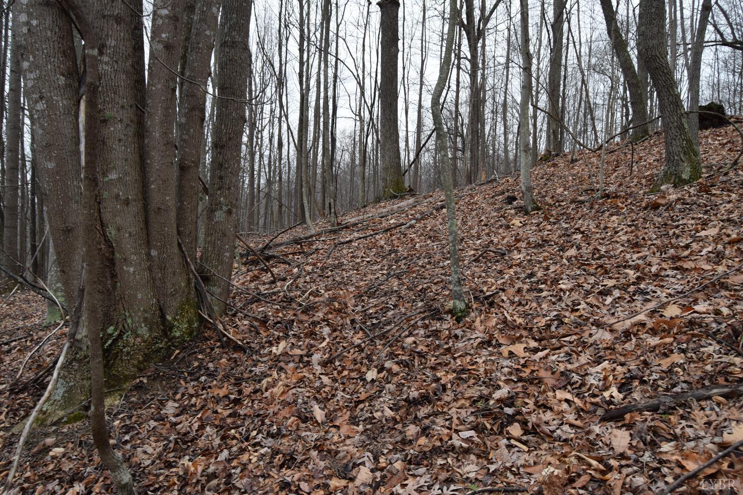 0 Hickory Falls Road Blue Ridge, VA 24064 - Photo 26 of 38