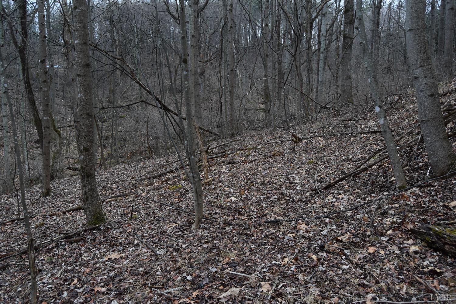 0 Hickory Falls Road Blue Ridge, VA 24064 - Photo 27 of 38