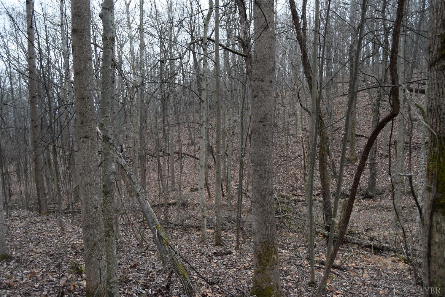 0 Hickory Falls Road Blue Ridge, VA 24064 - Photo 28 of 38