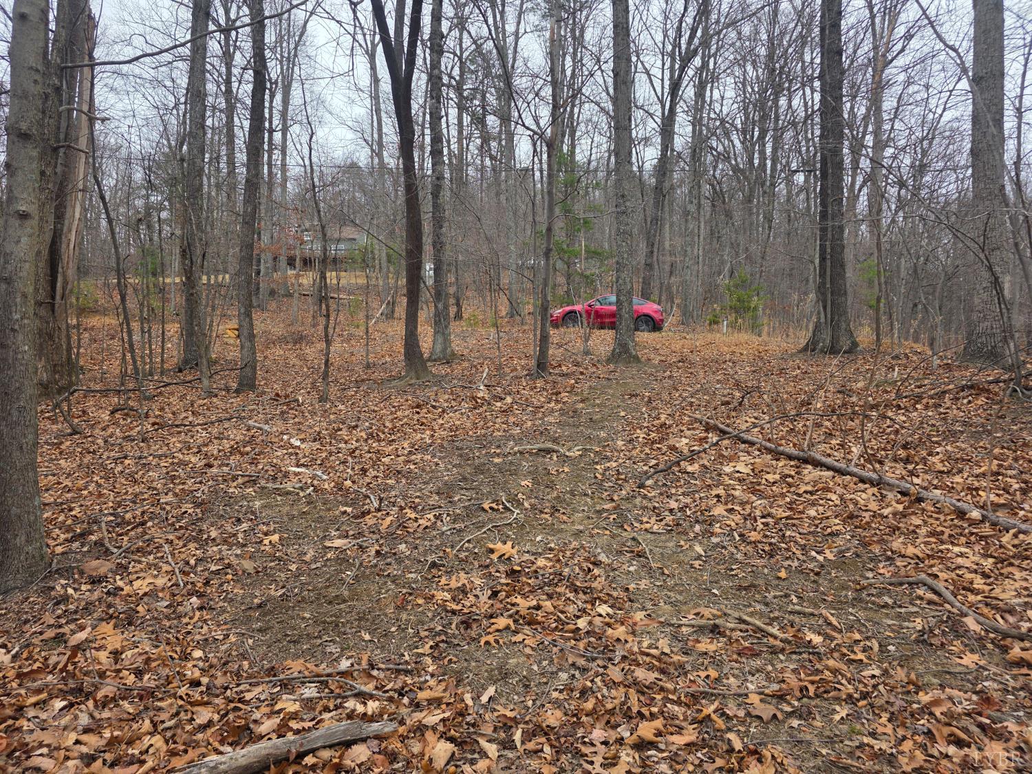 0 Hickory Falls Road Blue Ridge, VA 24064 - Photo 3 of 38