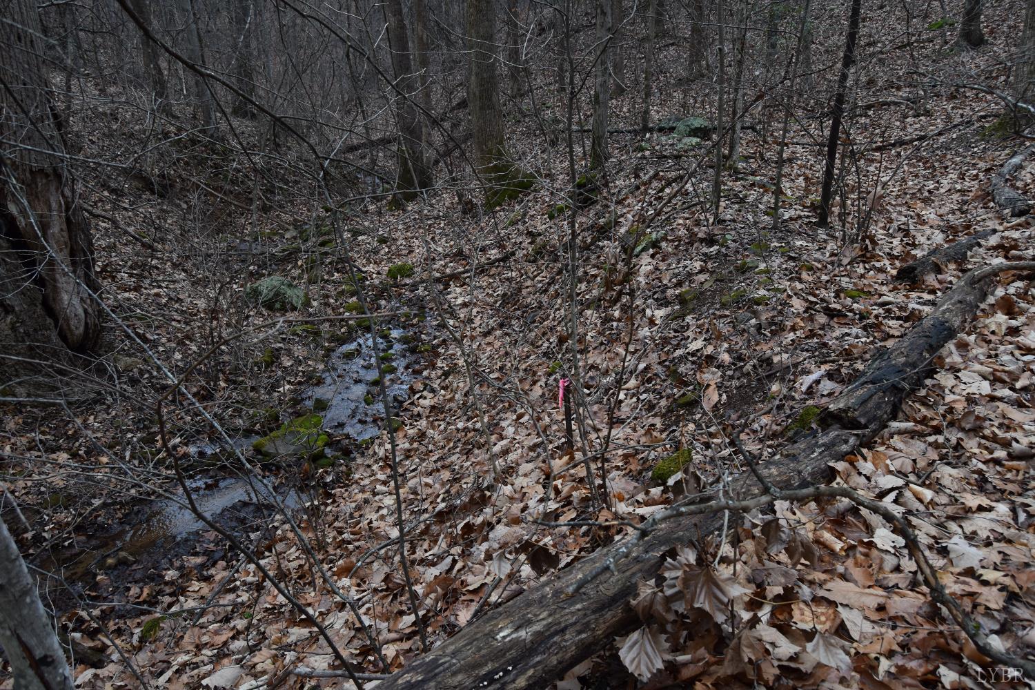 0 Hickory Falls Road Blue Ridge, VA 24064 - Photo 33 of 38