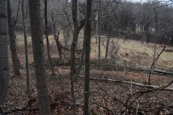 $124,900 | 0 Hickory Falls Road, Blue Ridge, VA 24064