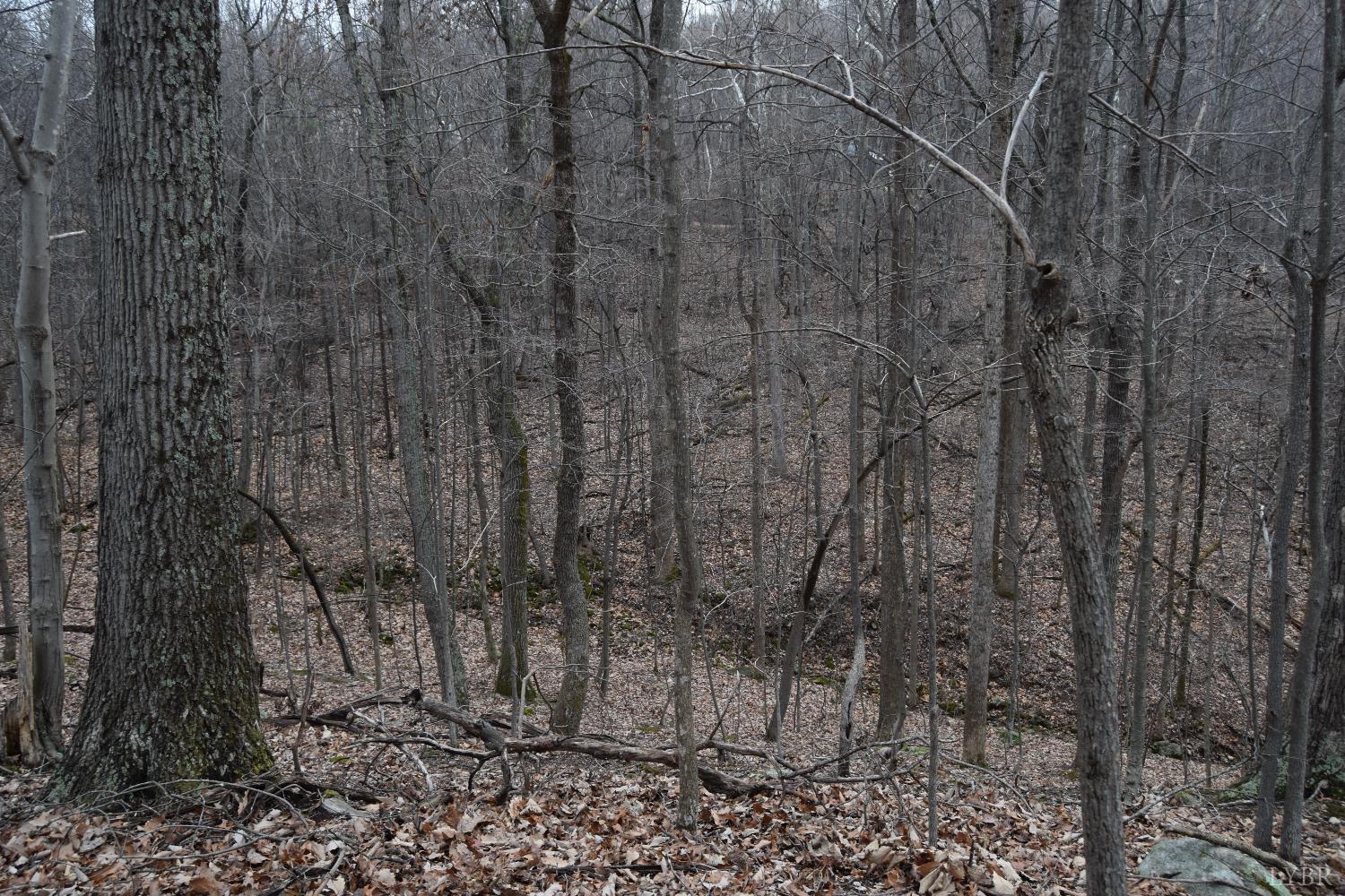 0 Hickory Falls Road Blue Ridge, VA 24064 - Photo 34 of 38