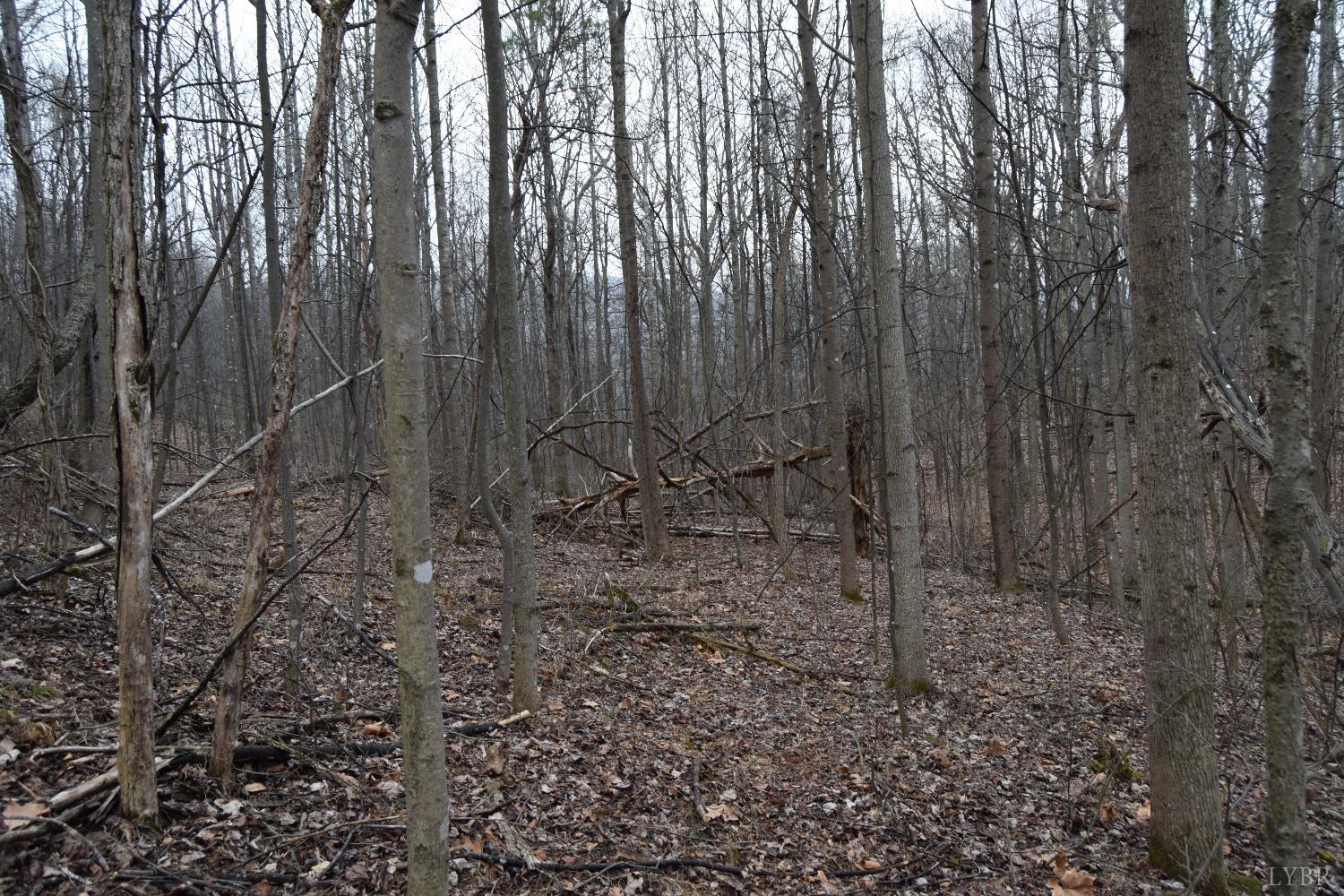 0 Hickory Falls Road Blue Ridge, VA 24064 - Photo 36 of 38