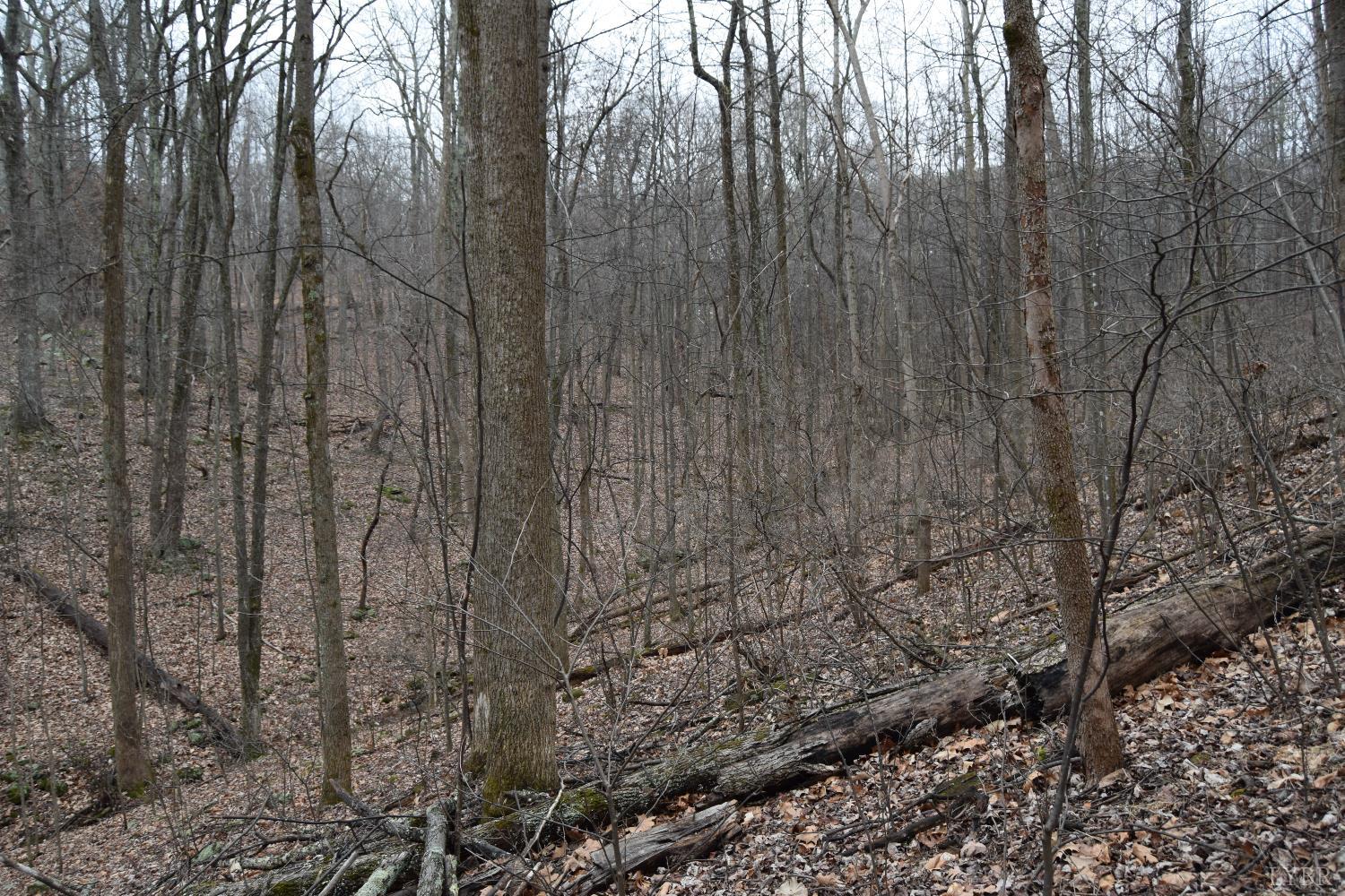 0 Hickory Falls Road Blue Ridge, VA 24064 - Photo 6 of 38