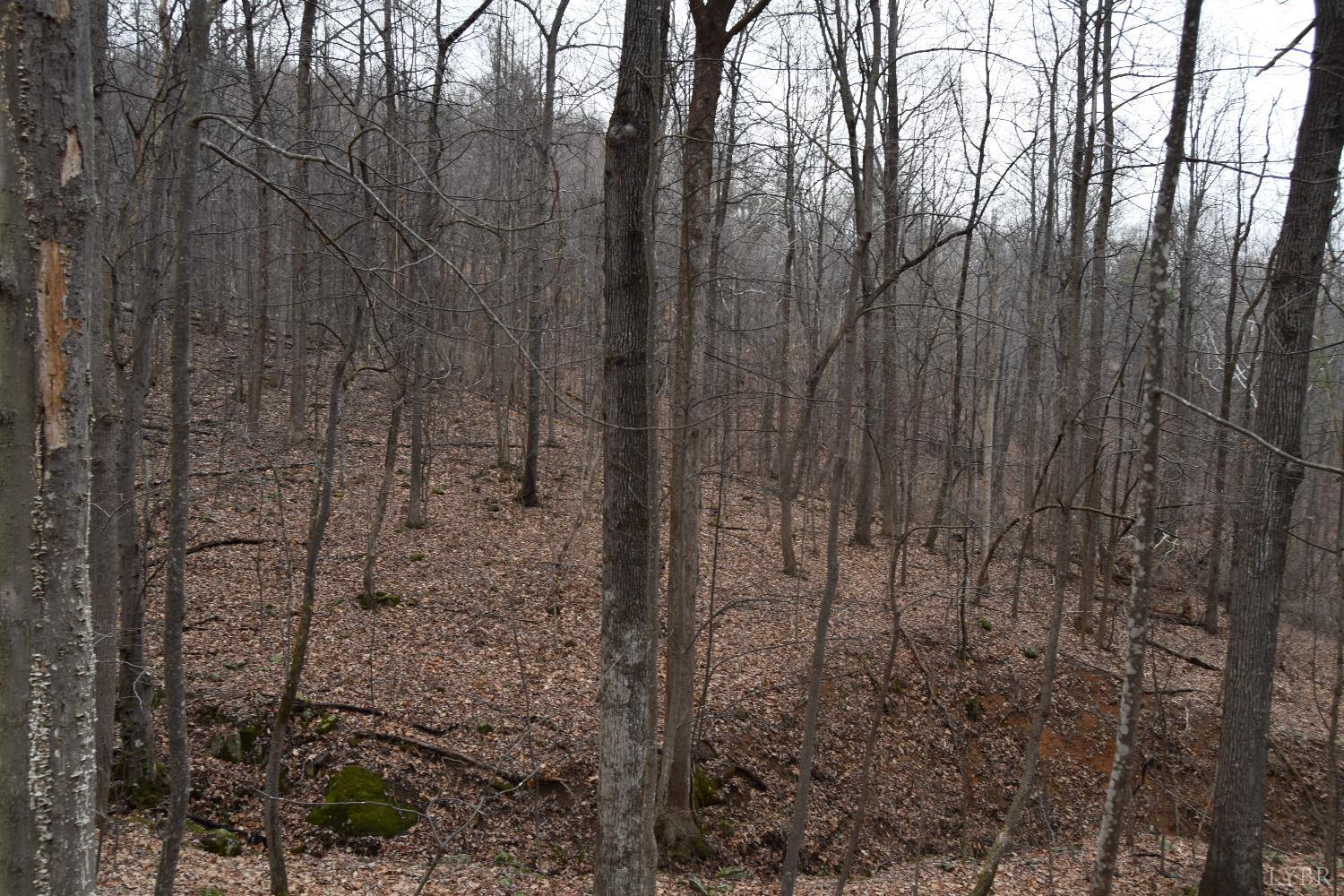 0 Hickory Falls Road Blue Ridge, VA 24064 - Photo 8 of 38