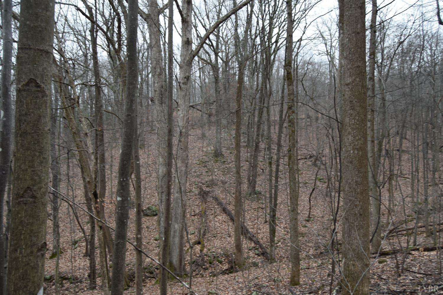 0 Hickory Falls Road Blue Ridge, VA 24064 - Photo 9 of 38