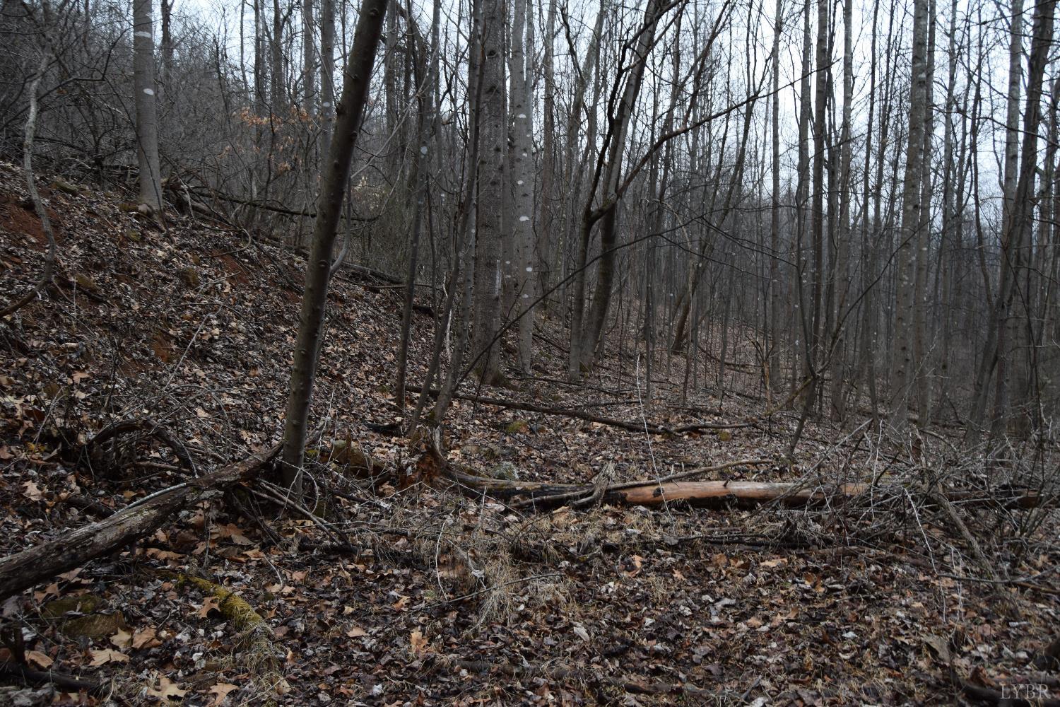 0 Hickory Falls Road Blue Ridge, VA 24064 - Photo 10 of 38