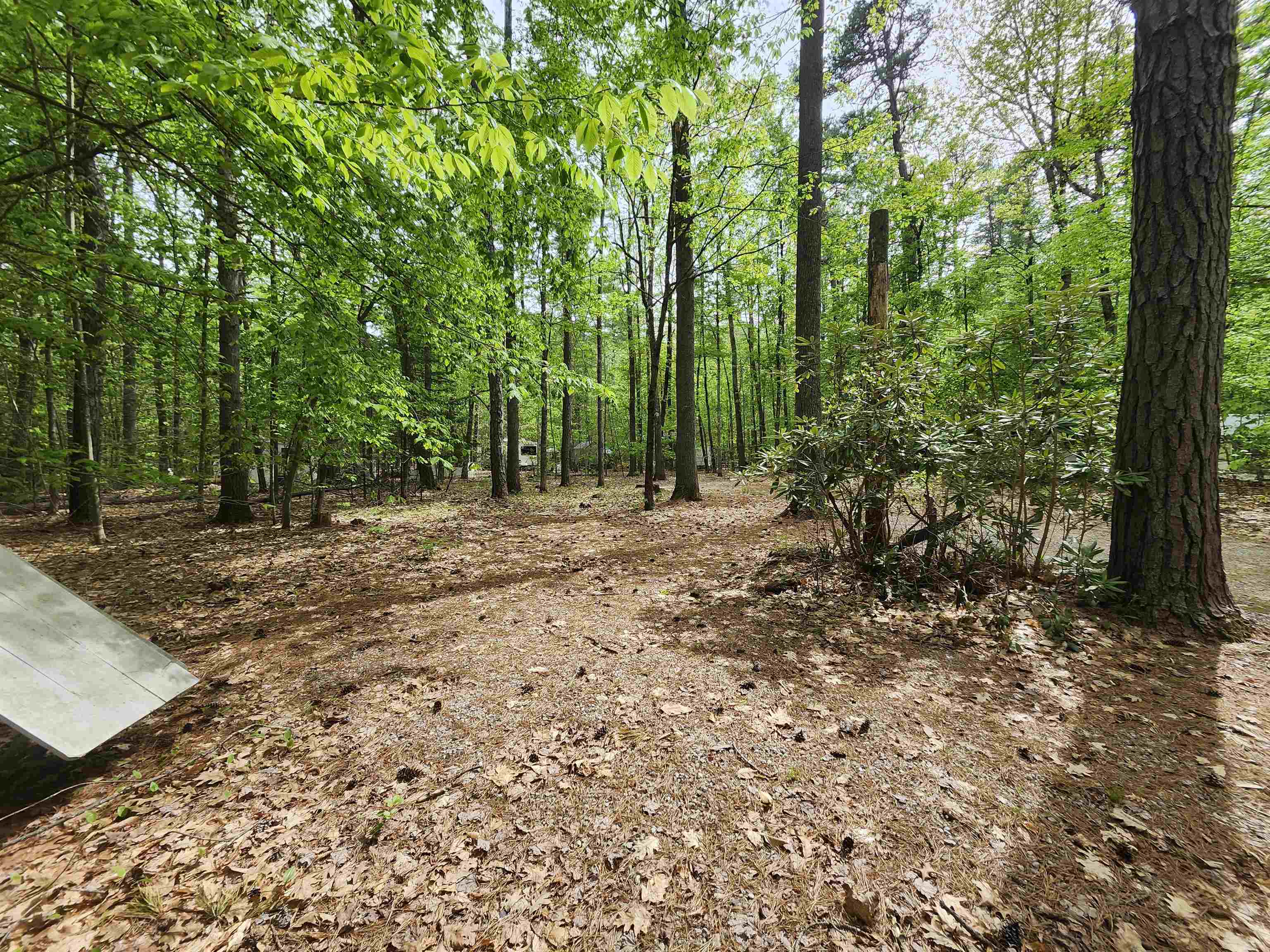 Lot 7 Pine Road East Wakefield, NH 03830 - Photo 7 of 11