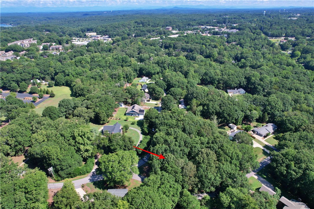 0 Vineyard Rd/roslyn Court Clemson, SC 29631 - Photo 9 of 10 Gallery Image 9