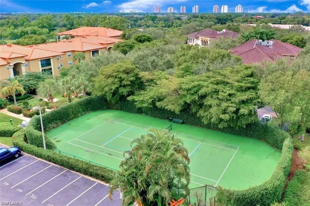 a view of a pathway covered with flower plants