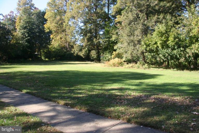 9302 Weaver Street Silver Spring, MD 20901 - Photo 22 of 23 Wooded View / Acreage