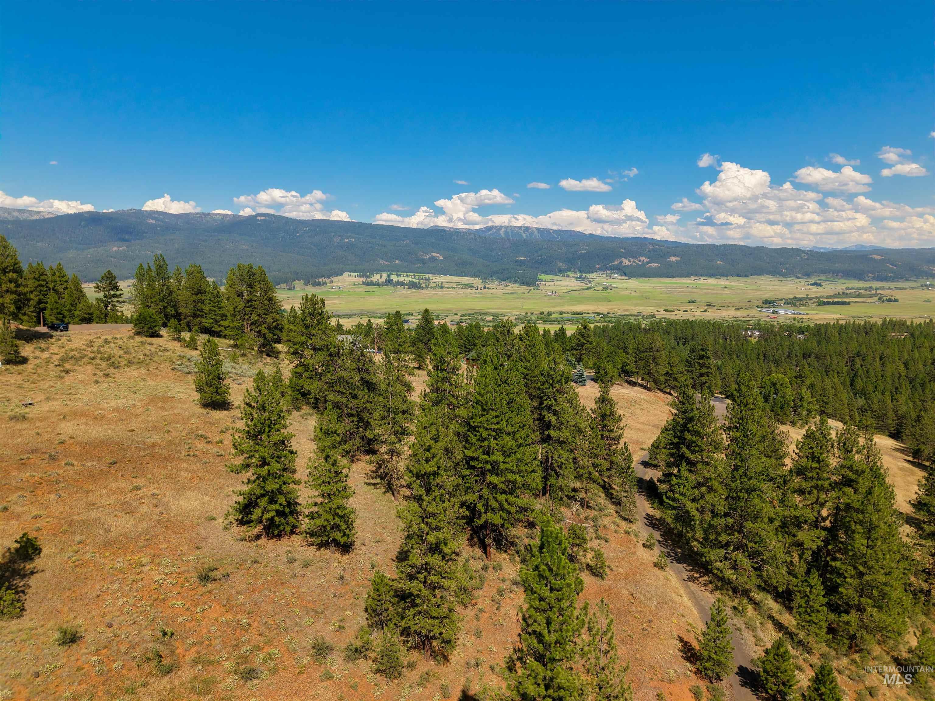 Tbd Tbd Eagle Feather Road New Meadows, ID 83654 - Photo 10 of 21 Gallery Image 10
