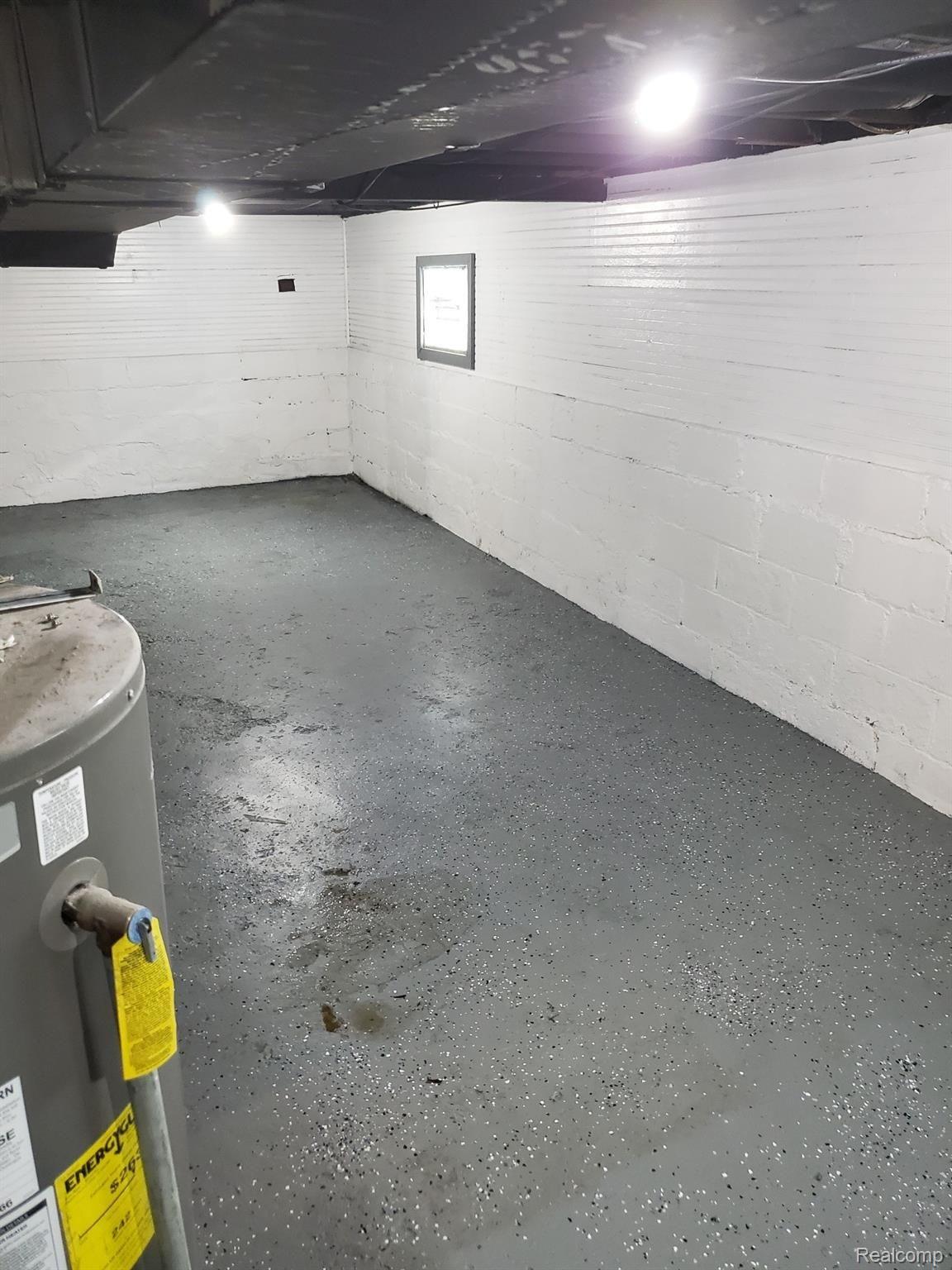 80 Forest Street River Rouge, MI 48218 - Photo 20 of 21 basement.jpg