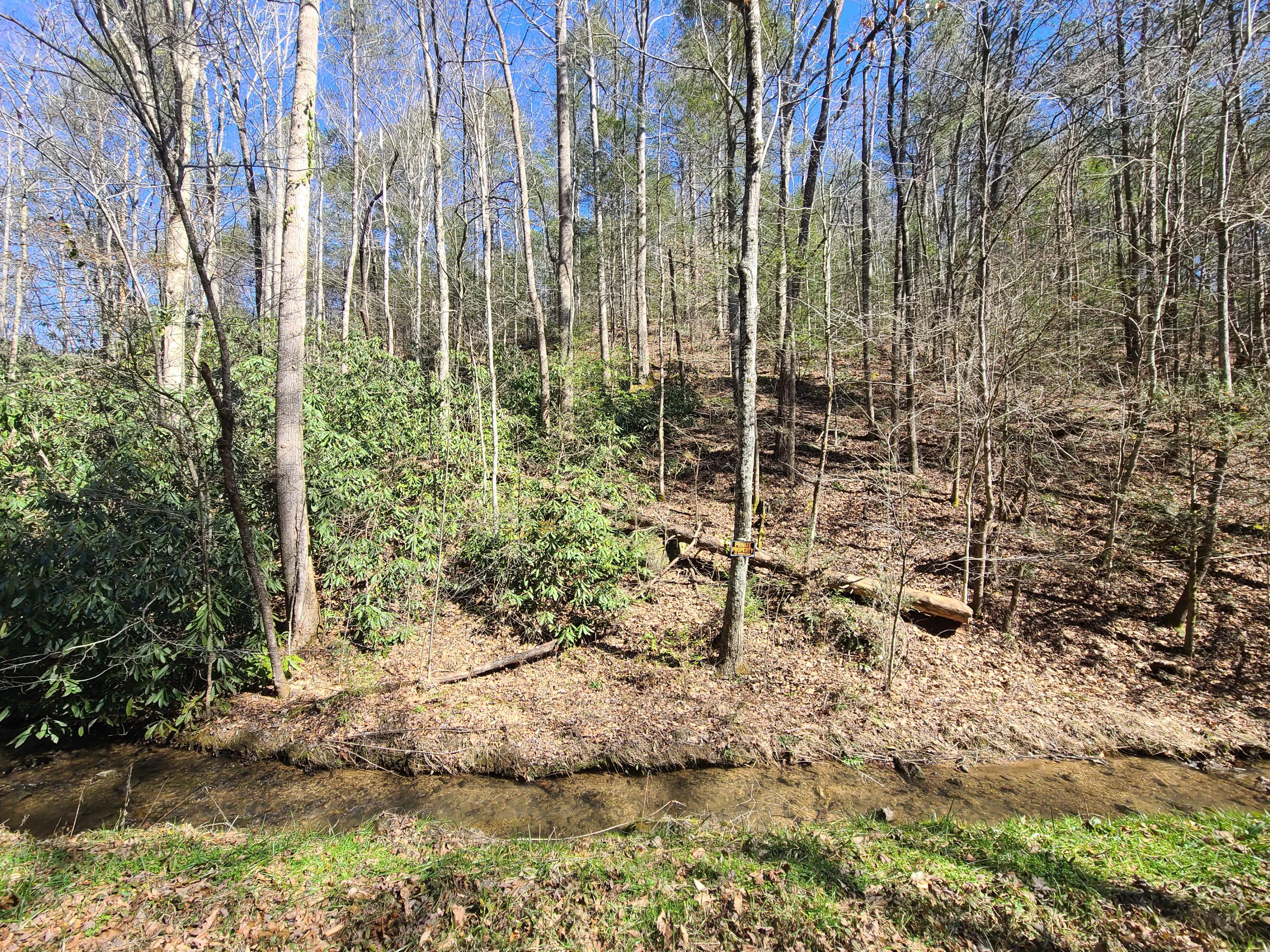 30.02 Laurel Lick Road Sevierville, TN 37862 - Photo 1 of 30 20210224_113548