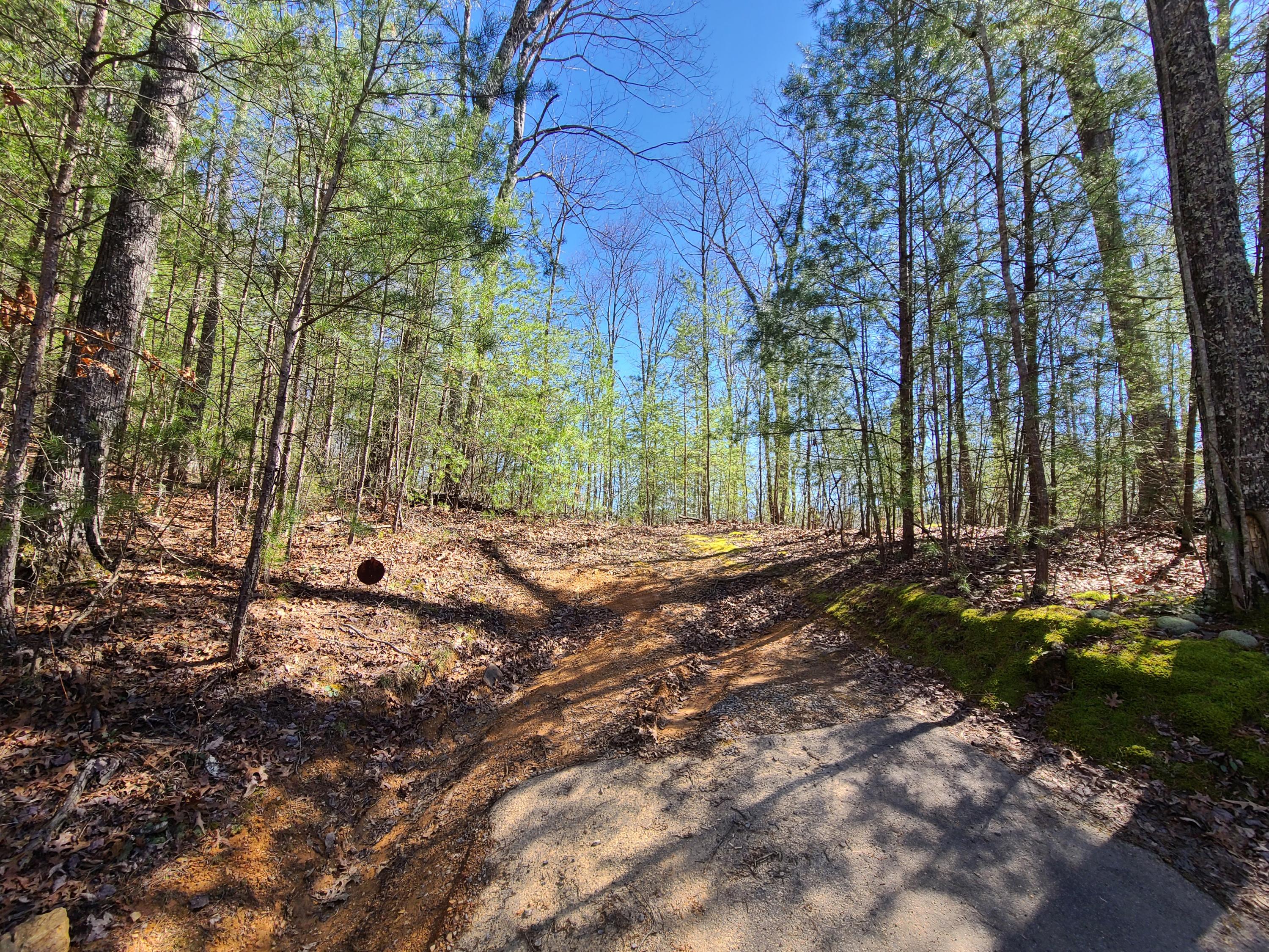 30.02 Laurel Lick Road Sevierville, TN 37862 - Photo 14 of 30 20210303_125019