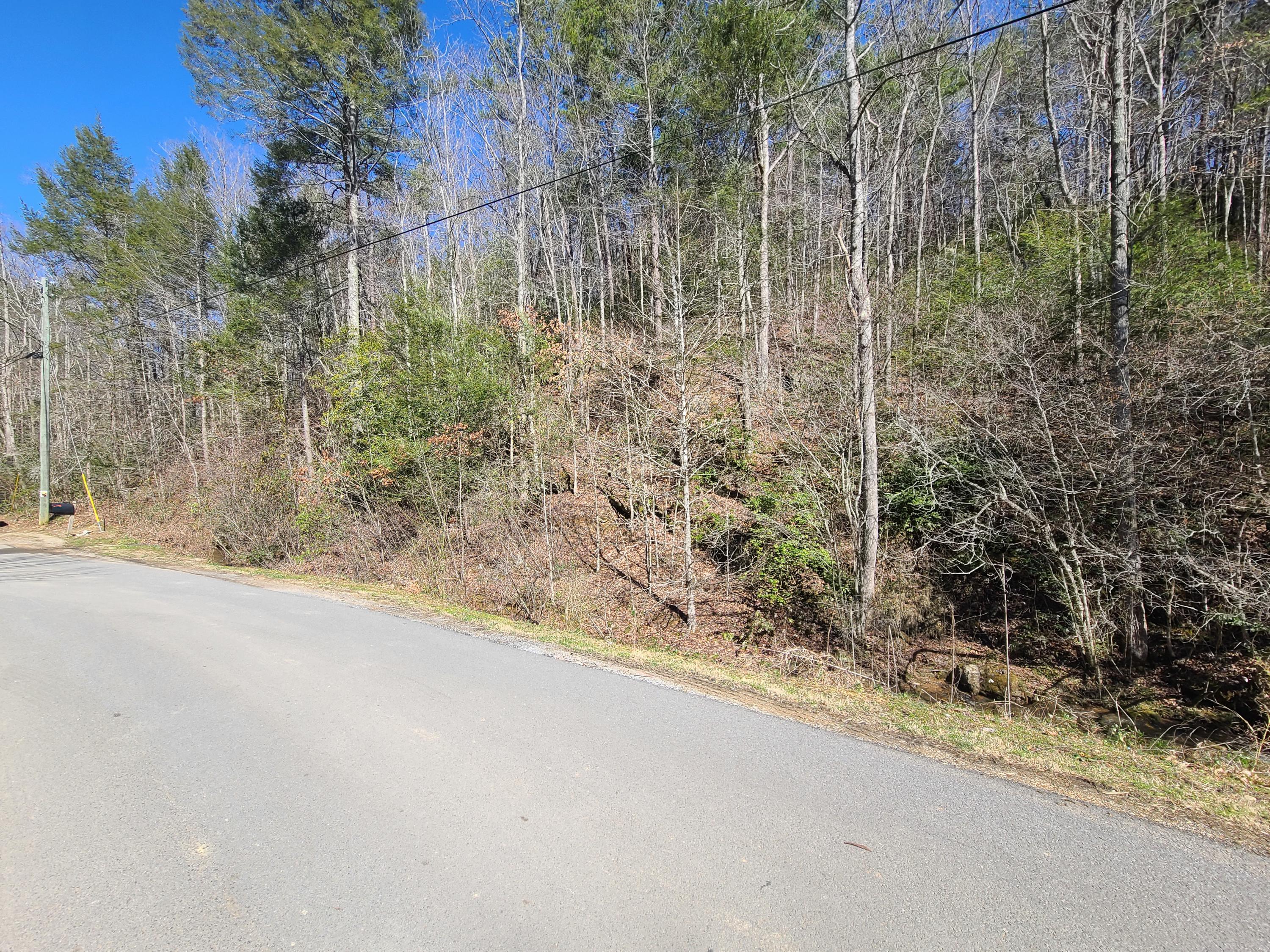 30.02 Laurel Lick Road Sevierville, TN 37862 - Photo 3 of 30 20210224_114055