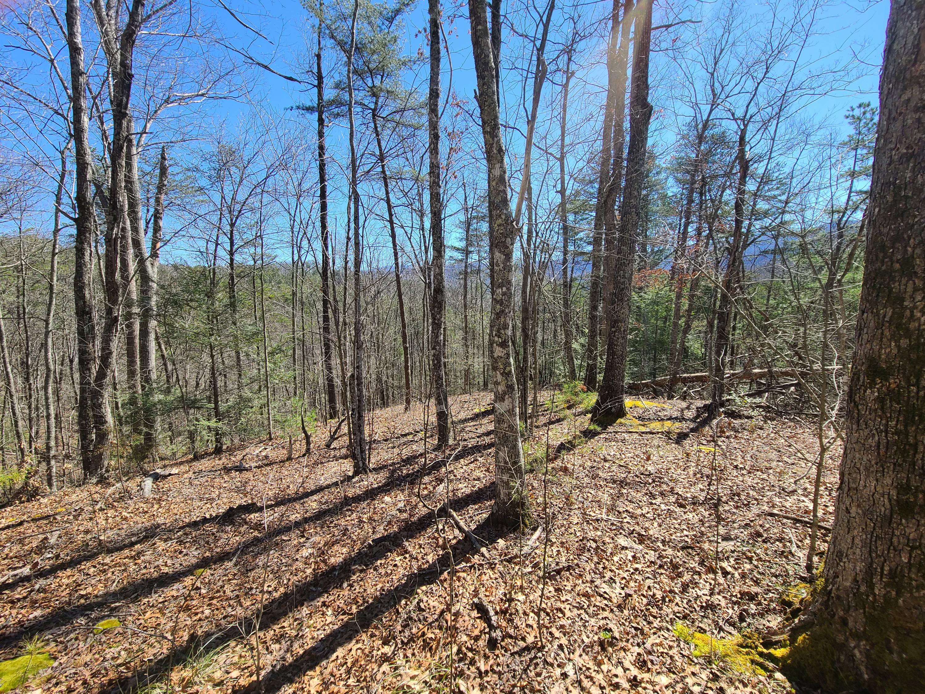 30.02 Laurel Lick Road Sevierville, TN 37862 - Photo 22 of 30 20210303_125342